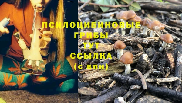 кокаин колумбия Абаза