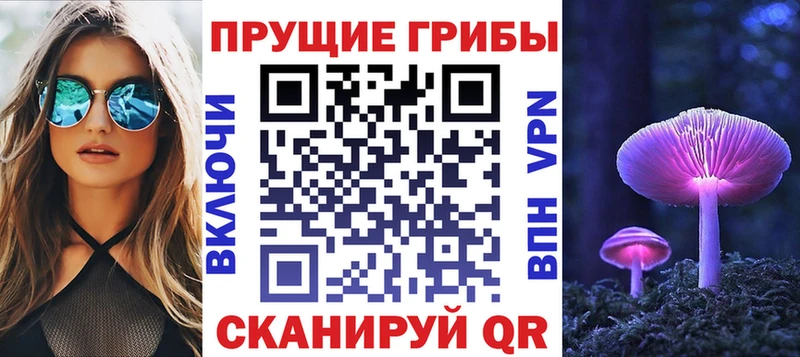 Псилоцибиновые грибы Cubensis  как найти закладки  Псков 