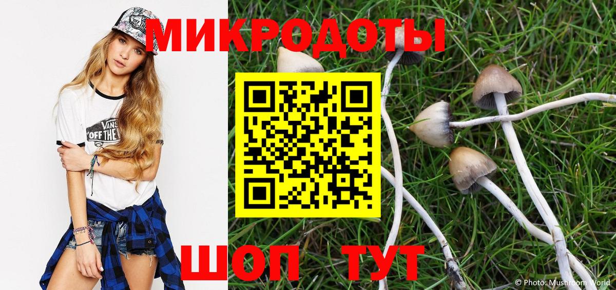 Псилоцибиновые грибы мухоморы Псков