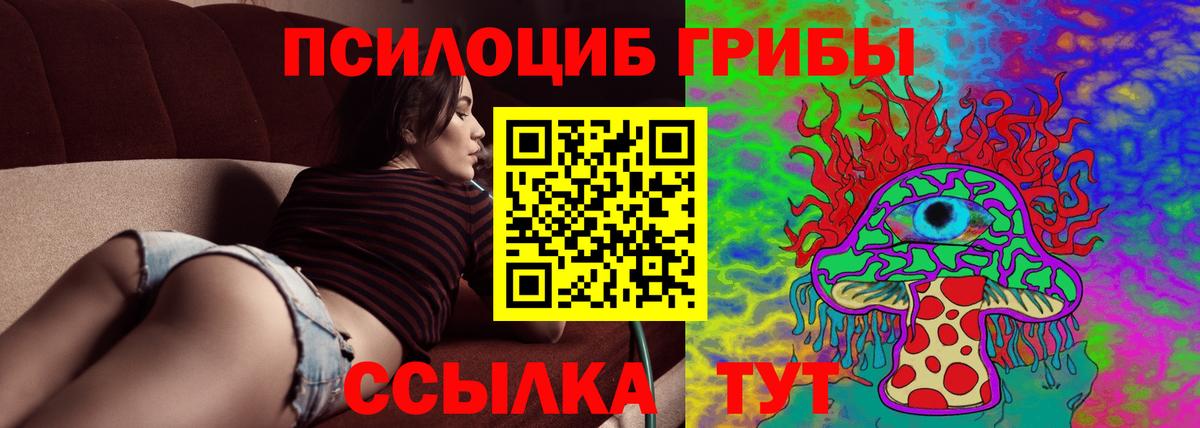 Псков  Галлюциногенные грибы Psilocybine cubensis  Псилоцибиновые грибы прущие грибы  Вход с VPN 